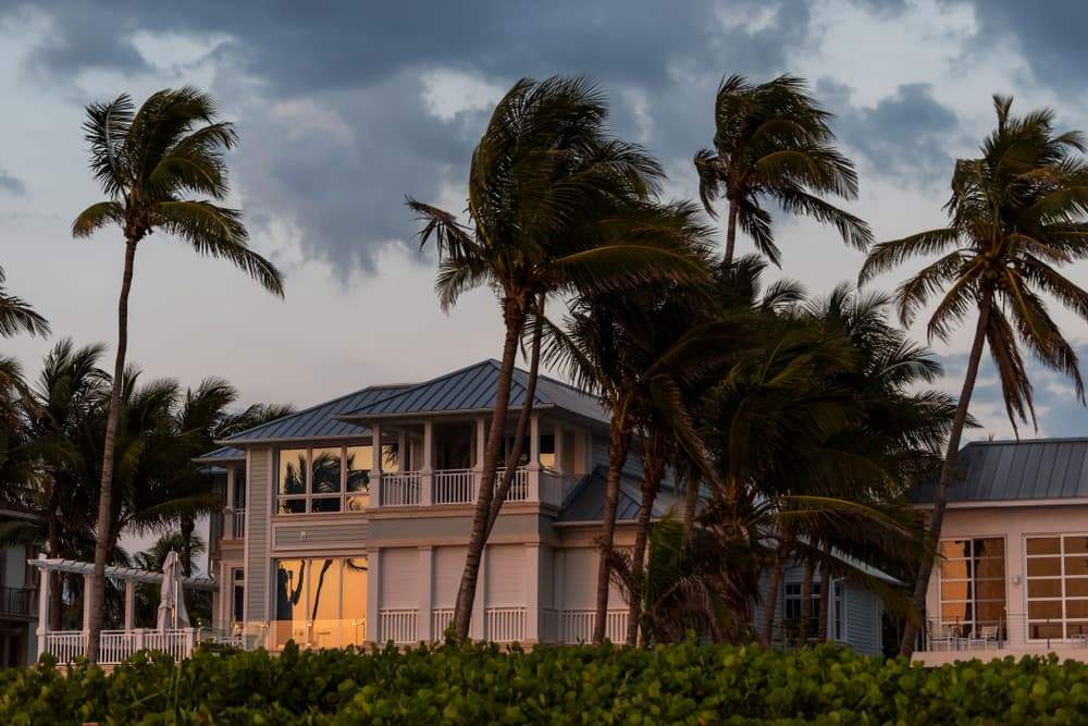 Outside of a Home with Wind Blowing Hard on Palm Trees