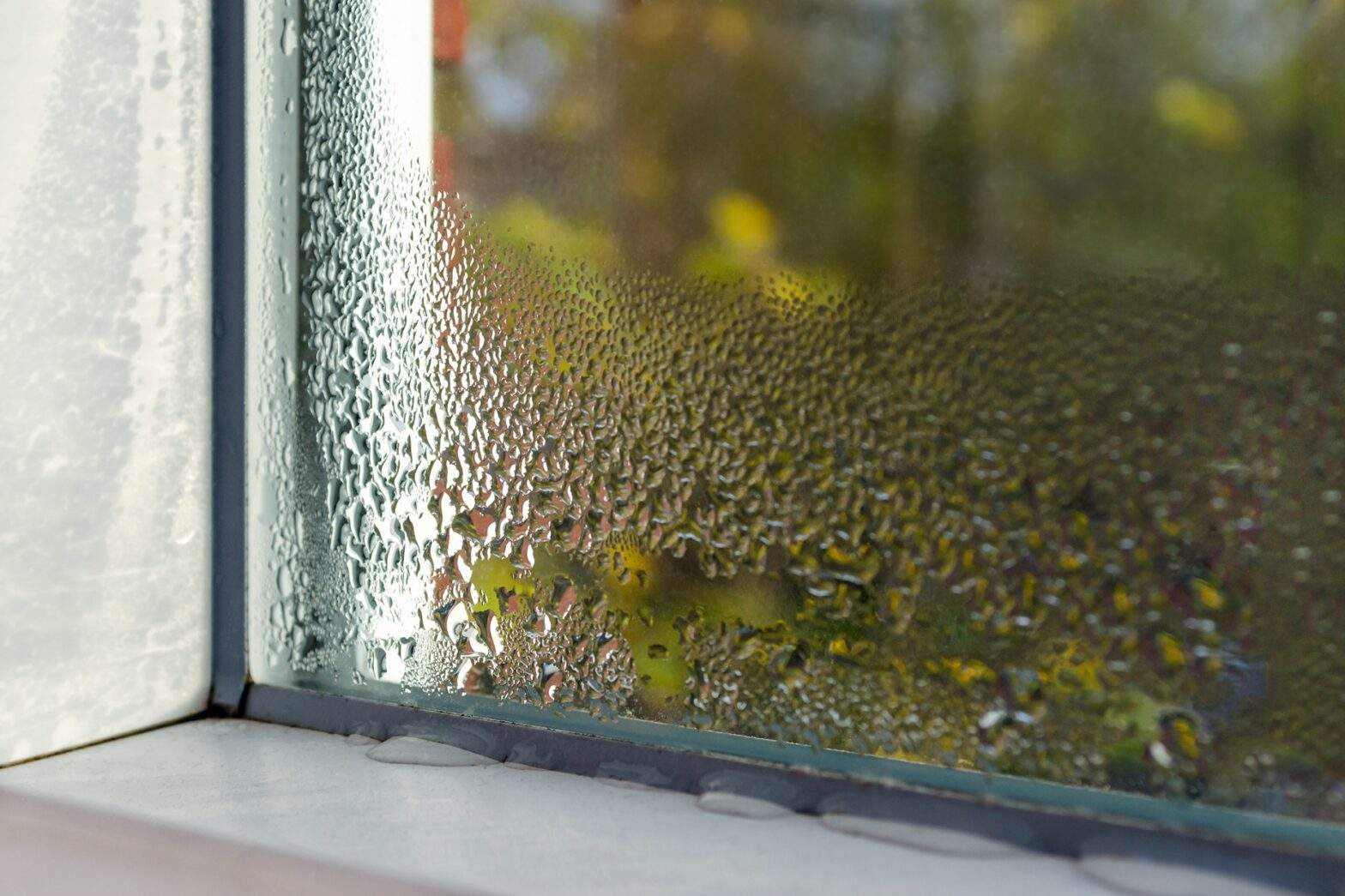 impact-resistant windows and doors